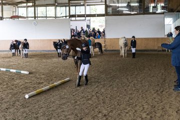 Bild 49 - Pony Akademie Turnier